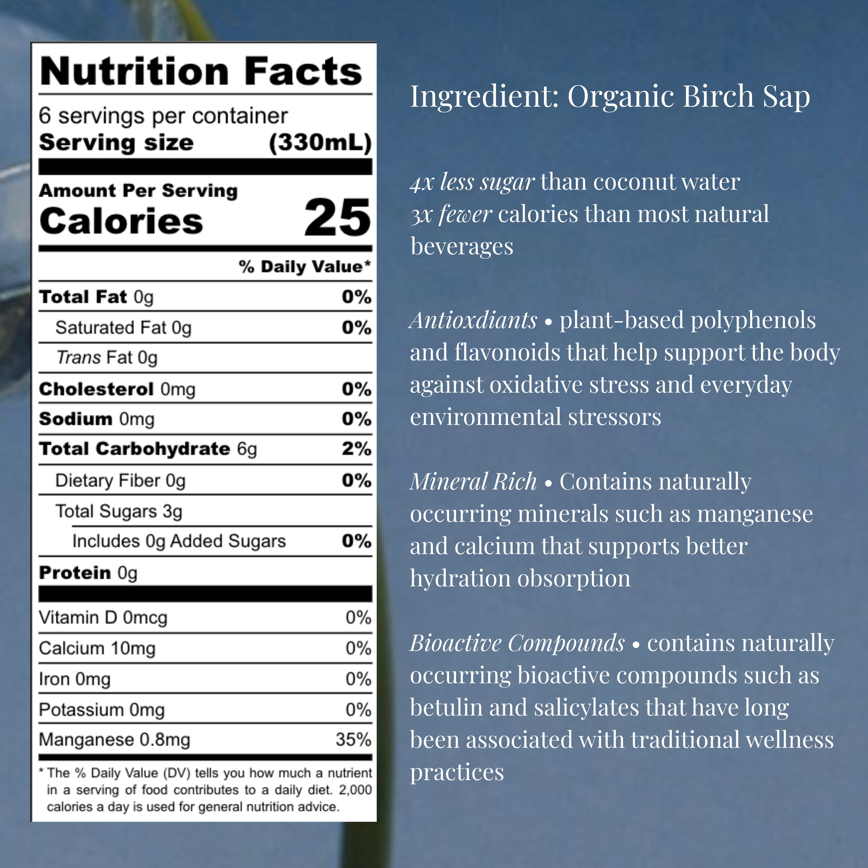 OOZ Organic Birch Water